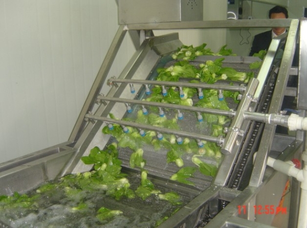 Vegetable Washing Machine